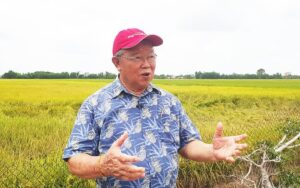 Diễn biến câu chuyện