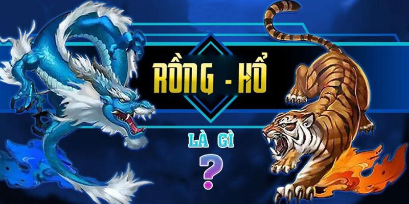 Bongvip: Khám phá thế giới chơi cá cược Rồng Hổ đỉnh cao